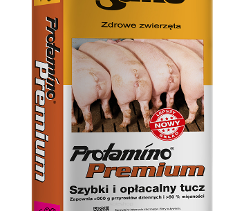 PASZE DLA TRZODY CHLEWNEJ