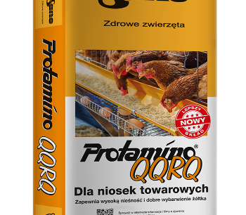PASZE DLA DROBIU