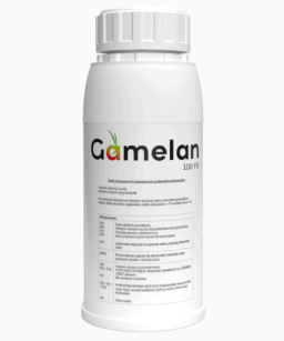GAMELAN 100 FS 0,5L