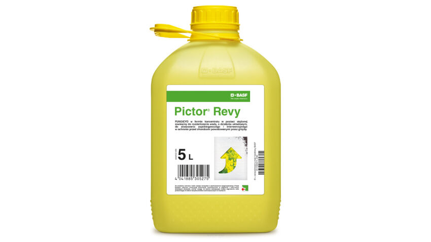 PICTOR REVY 5L