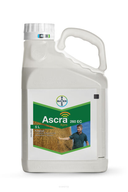 ASCRA XPRO 260 EC 5L
