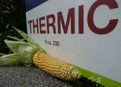 KUKURYDZA THERMIC