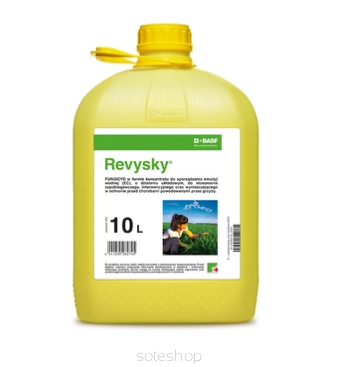 Revysky 10L