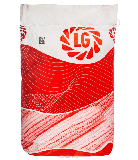 Kukurydza LG 31.279