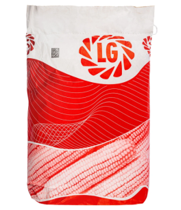 Kukurydza LG 31.279