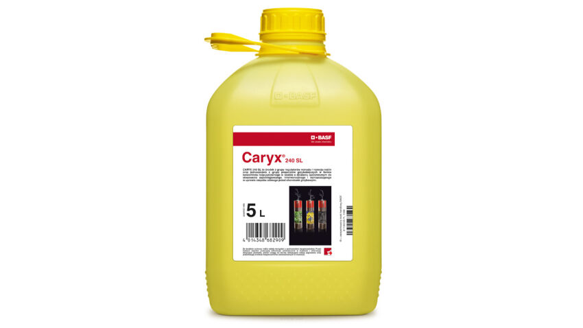 CARYX 240SL 5L