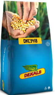 Kukurydza DKC3418 +korit 50tys