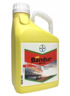 BANDUR 600 SC 5L