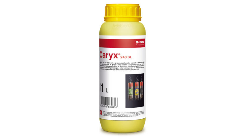 CARYX 240SL 1L