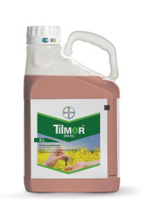 TILMOR 240 EC 5L