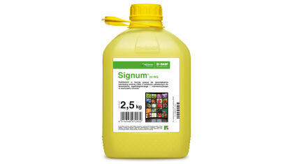 SIGNUM 33 WG 2,5KG