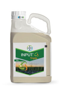 INPUT TRIPLE 5L