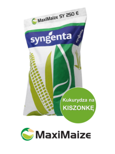 KUKURYDZA MAXIMAIZE SY + KORIT