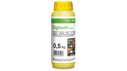 SIGNUM 33 WG 0,5KG